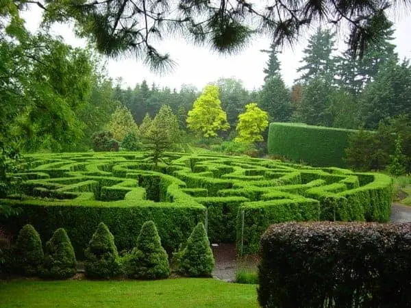 Garden Maze Landscape 72 - Landscape & Backyard Ideas