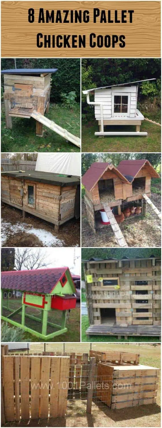 8 Pallet Chicken Coops