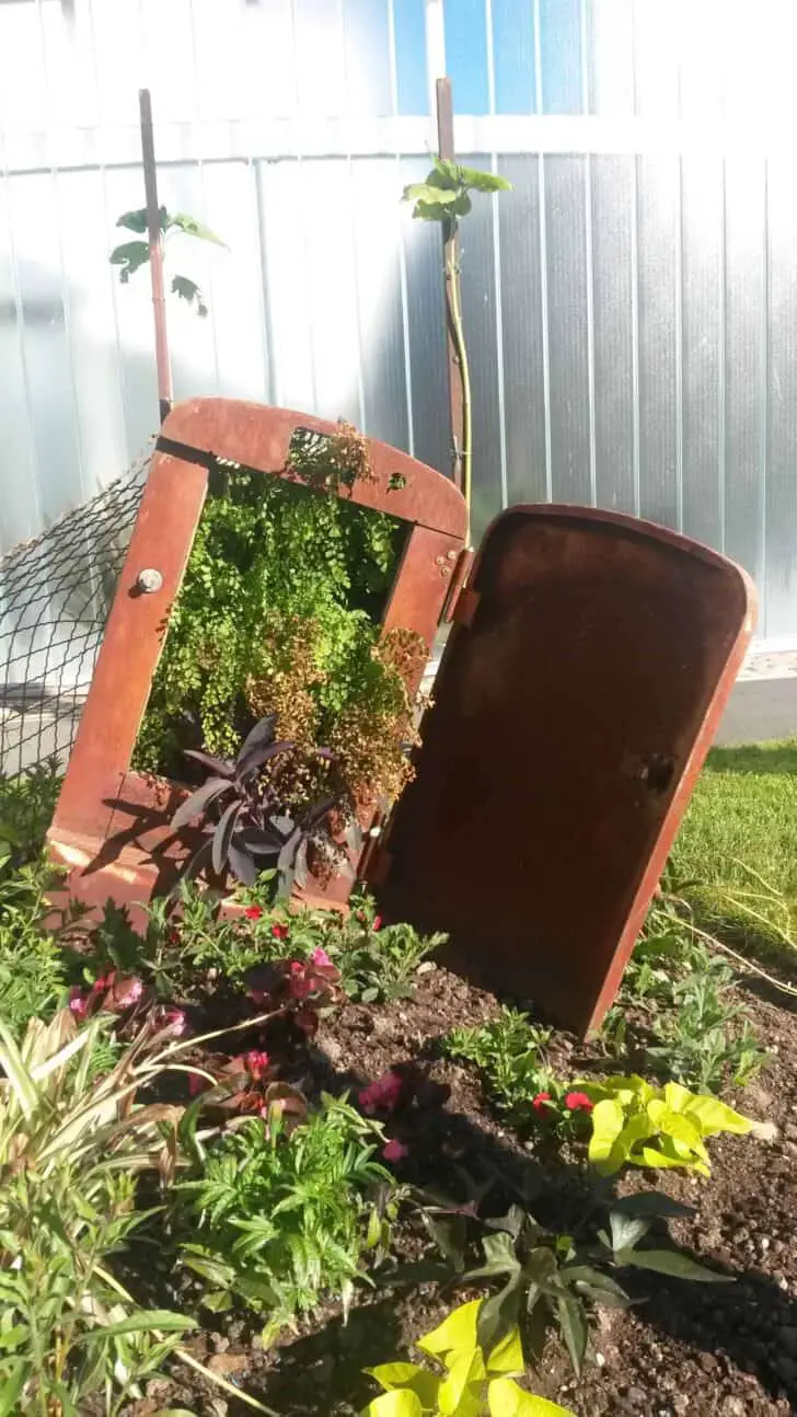 Repurposed Planter 15 - Flowers & Plants