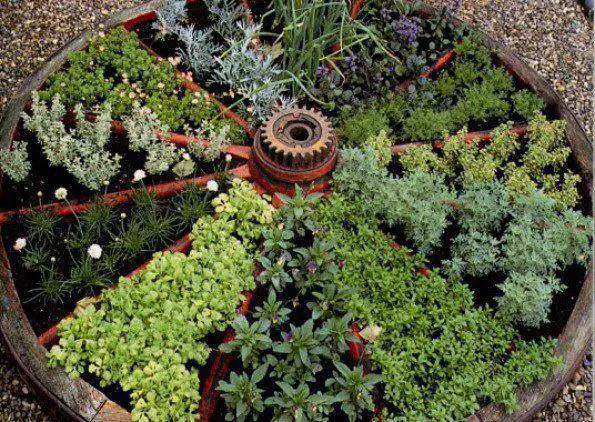 Designing the Ultimate Eco-friendly Garden