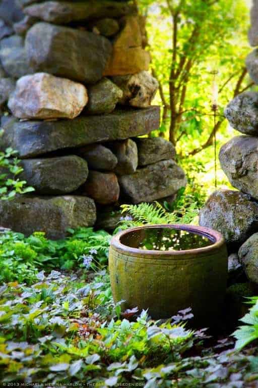 Secret Garden Water Bowl • 1001 Gardens