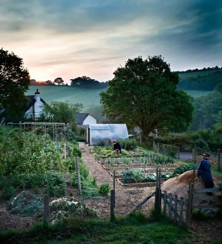 Beautiful Vegetable Garden Landscape Inspiration 1 - Countryside