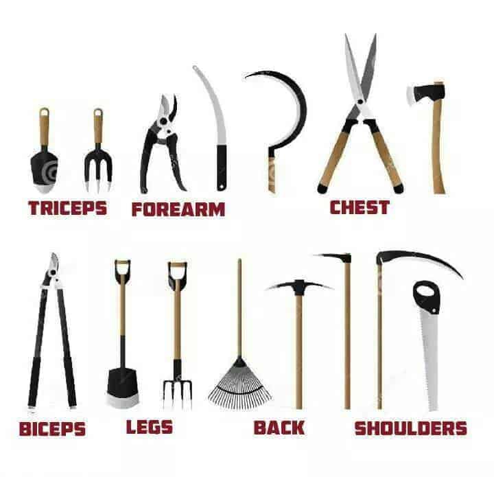 Gardening Workout 14 - Urban Gardens & Agriculture