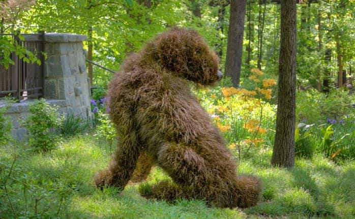 Incredible Giant Plant Sculptures - flowers-plants-planters Incredible Giant Plant Sculptures - flowers-plants-planters