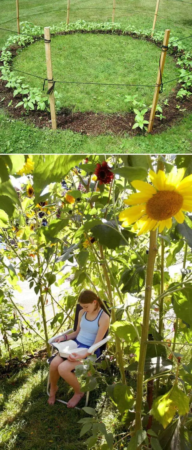 Grow a Sunflower House as Kids Playhouse 24 - playhouse