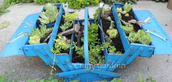 Succulent Toolbox Planter 23 - Kids Playhouses & Playgrounds