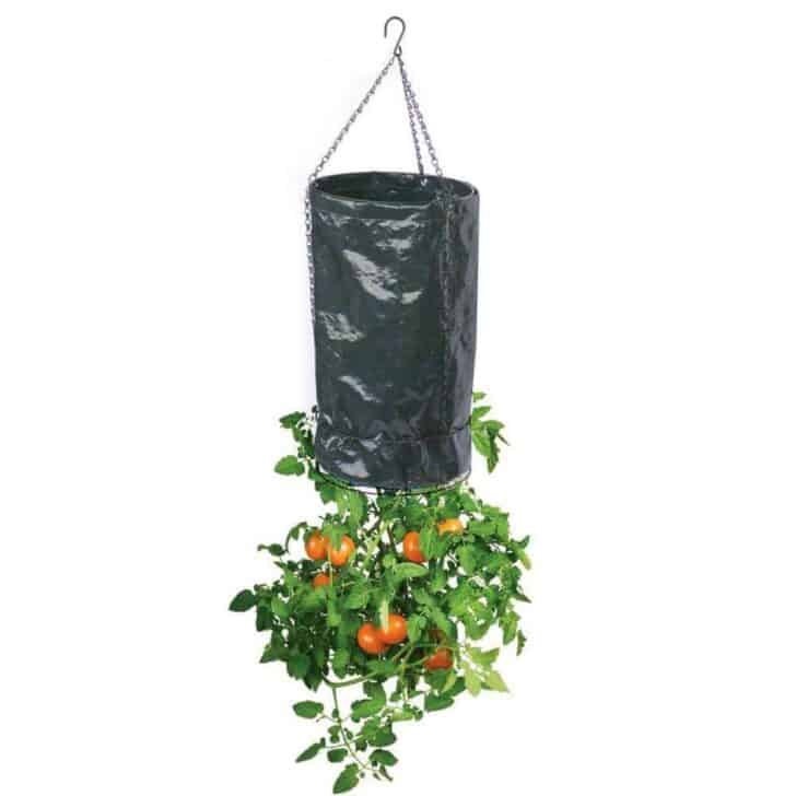 DIY: Homegrown Tomatoes Upside Down Planter 5 - Flowers & Plants