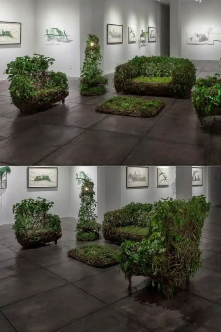Living Room: Live Plants Furniture