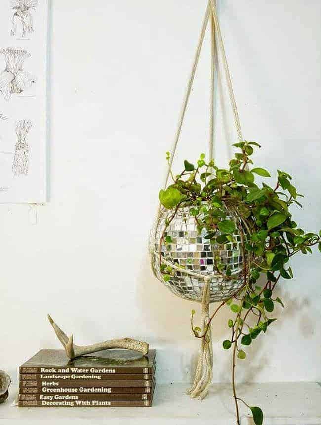 Disco Ball Planter 1 - Flowers & Plants