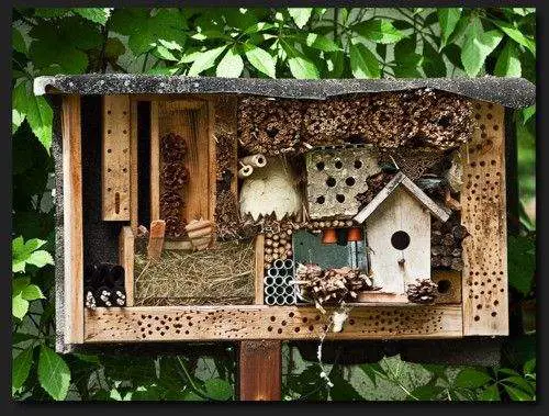 insect hotel 12