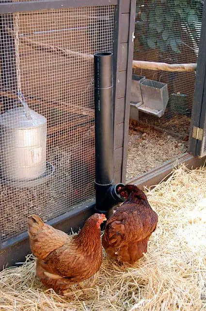 Diy : Pvc Chicken Feeder 16 - Bird Feeders & Houses