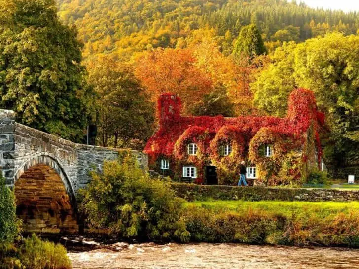 Beautiful Colors of Autumn Landscapes - landscaping Beautiful Colors of Autumn Landscapes - landscaping