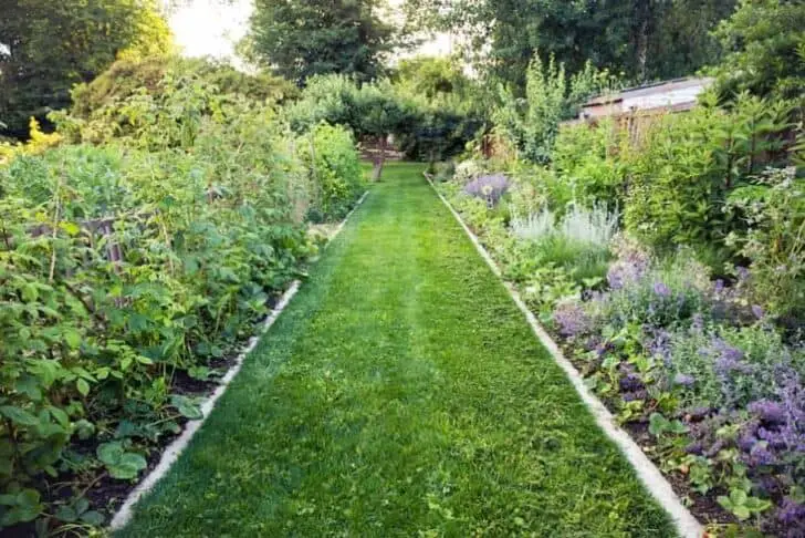 Edible-garden-britton-shepard-gardenista-considered-design-awards