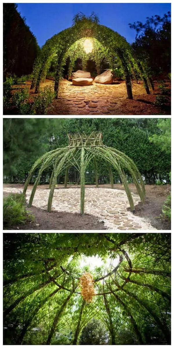 Living Willow Garden Decor Structure