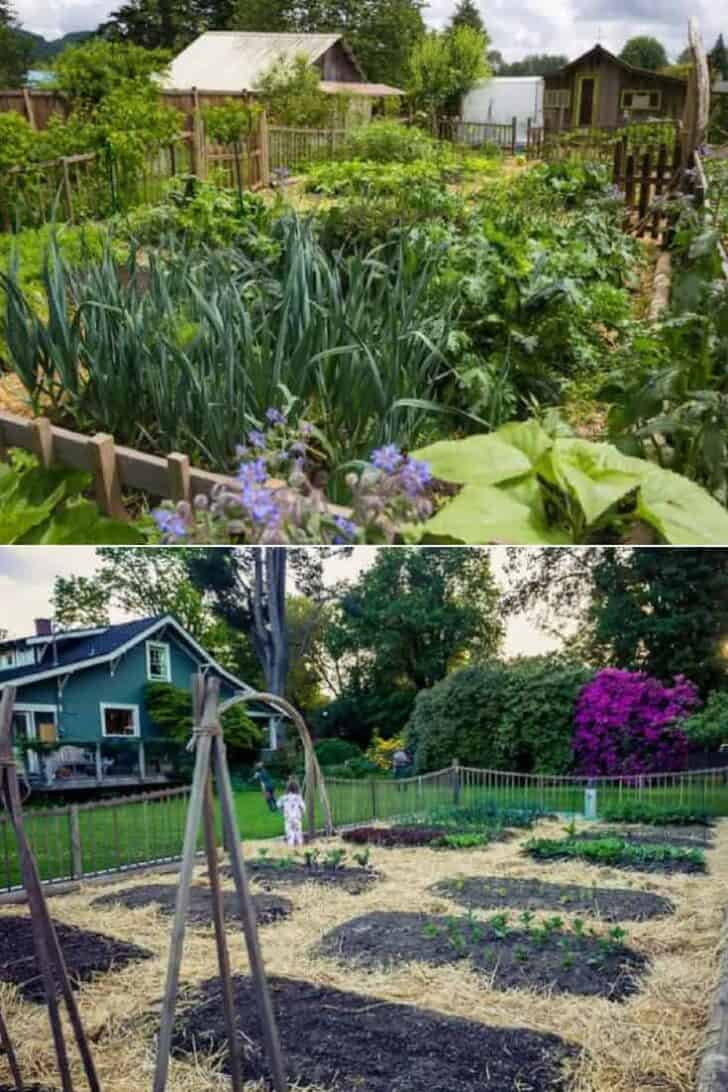 Permaculture Inspired Children's Edible Garden 27 - Flowers & Plants - 1001 Gardens Permaculture Inspired Children's Edible Garden