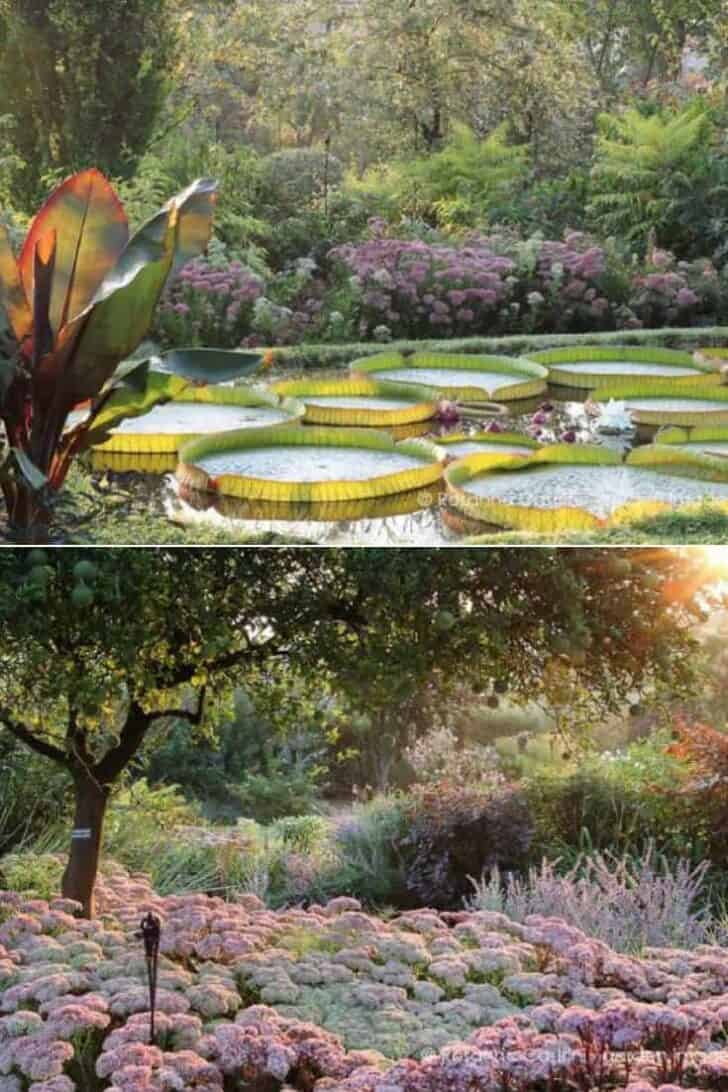 Villa Bricherasio Botanical Garden Landscape (Saluzzo, Piedmont, Italy) 39 - Landscape & Backyard Ideas - 1001 Gardens Villa Bricherasio Botanical Garden Landscape