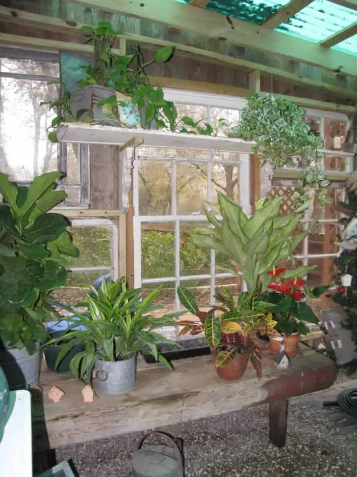 Repurposed Gardenshed ! - 1001 Gardens