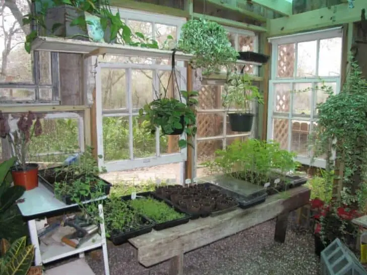 repurposed gardenshed ! - 1001 gardens