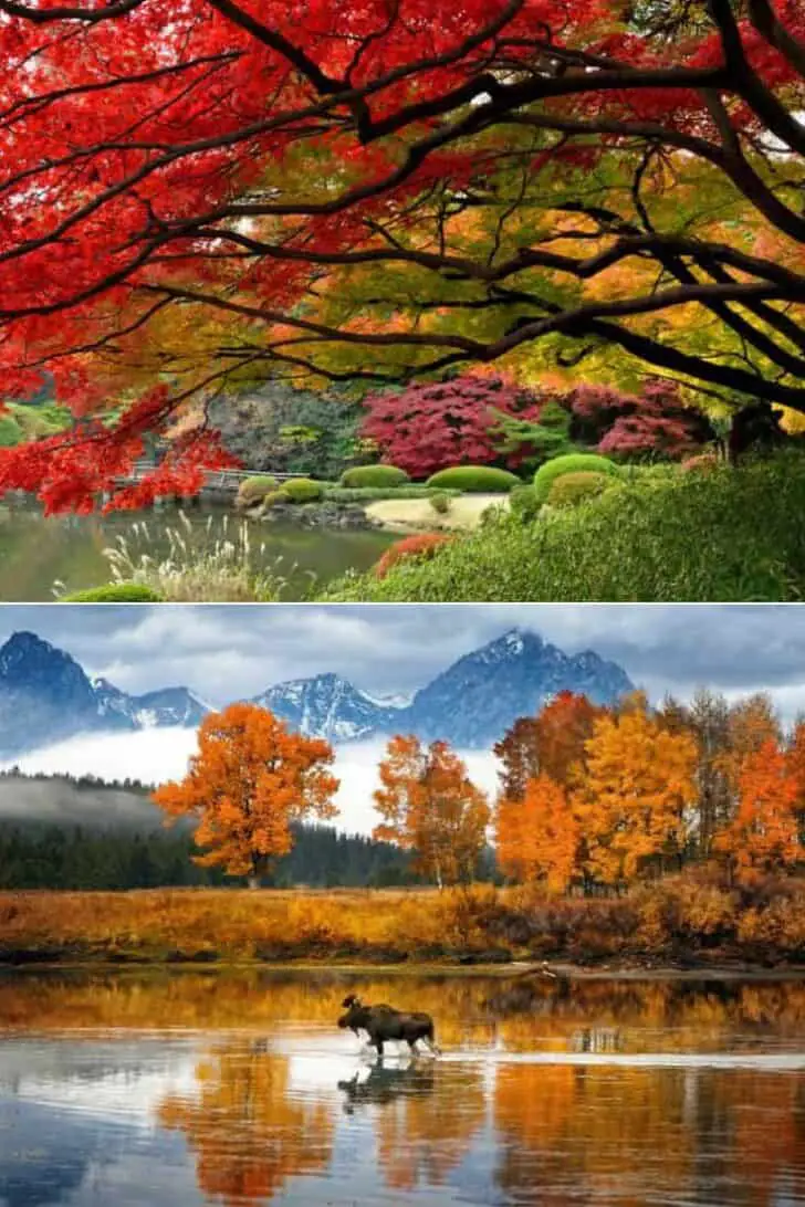 Beautiful Colors of Autumn Landscapes
