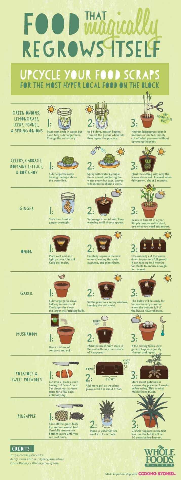 Upcycle Your Food Scraps 8 - growingup