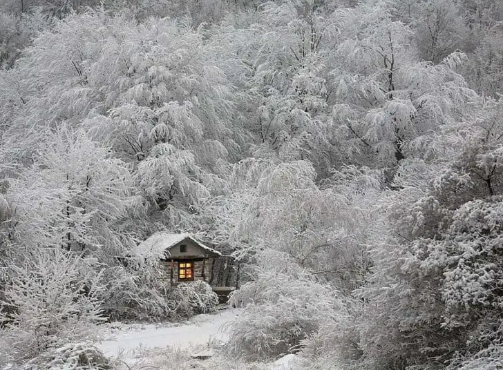 tiny-house-fairytale-nature-landscape-photography-25__880