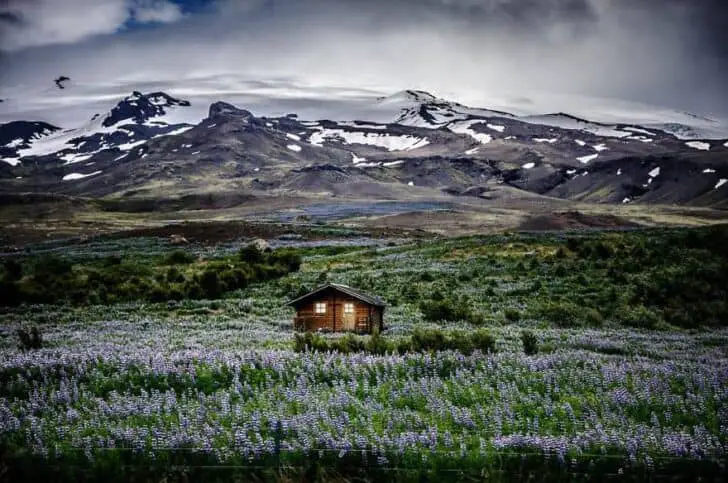 Icelandic Mountain Meadow Retreat