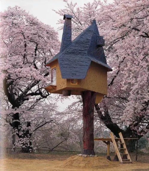 Fujimori Tea Beautiful Tree House