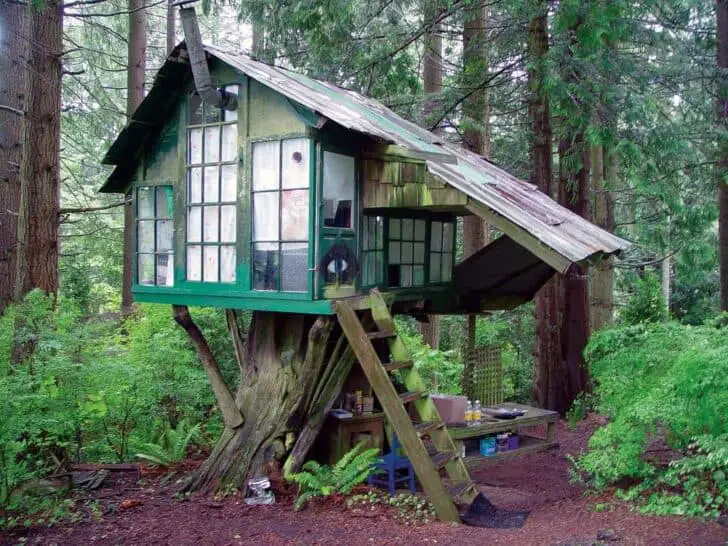 Vintage Beautiful Tree House 4 - forest