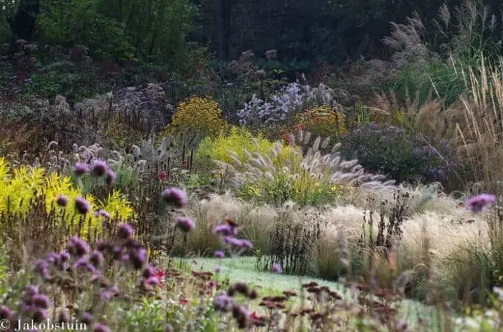 Colors of Fall in a Dutch Flowered Garden Landscape - landscaping Colors of Fall in a Dutch Flowered Garden Landscape - landscaping