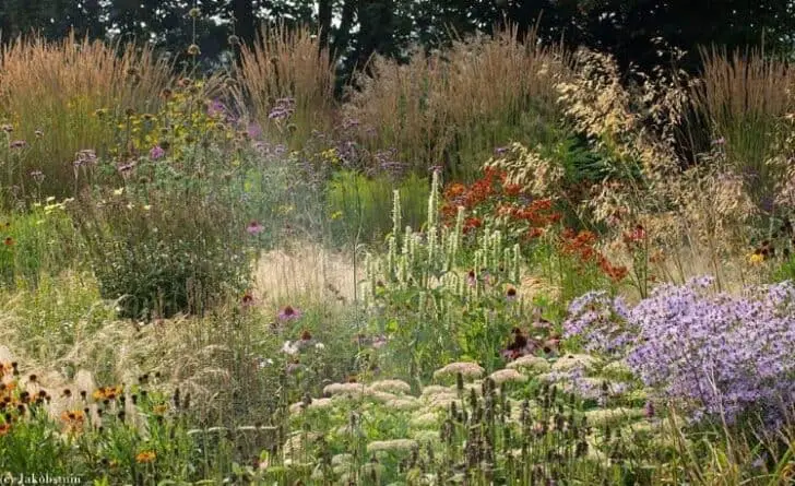 Colors of Fall in a Dutch Flowered Garden Landscape - landscaping Colors of Fall in a Dutch Flowered Garden Landscape - landscaping