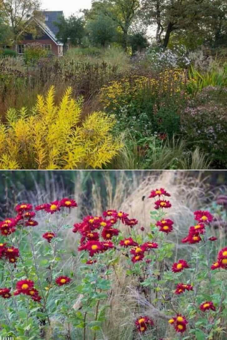 Colors of Fall in a Dutch Flowered Garden Landscape 11 - Landscape & Backyard Ideas - 1001 Gardens Colors of Fall in a Dutch Flowered Garden Landscape