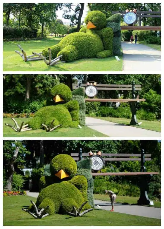 Sleepy Chick Hedge Landscape 51 - gardenart