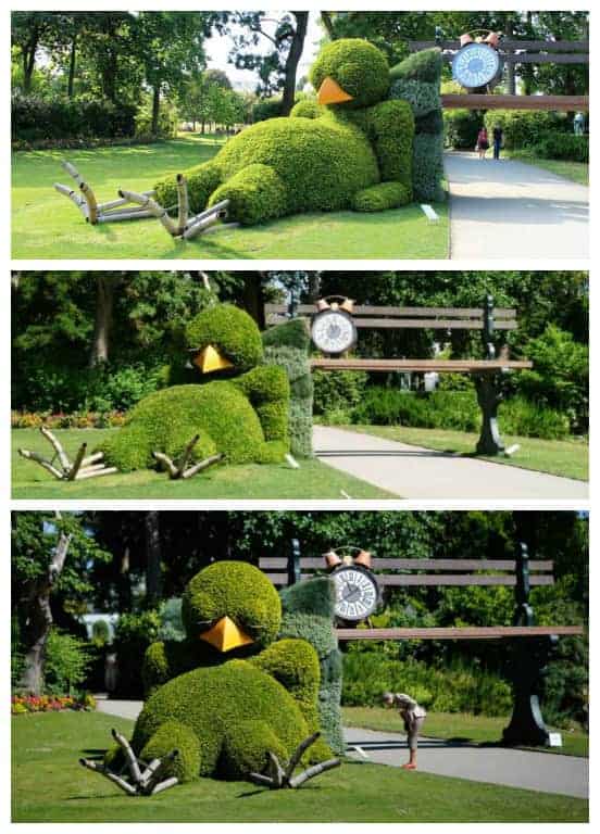 Sleepy Chick Hedge Landscape 6 - Landscape & Backyard Ideas - 1001 Gardens Sleepy Chick Hedge Landscape 5 - Landscape & Backyard Ideas