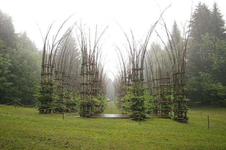 Tree Cathedral by Giuliano Mauri 01