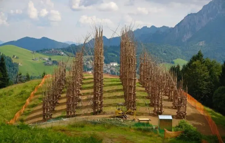 Beautiful Tree Cathedral Landscape by Giuliano Mauri 1 - Landscape & Backyard Ideas - 1001 Gardens Tree Cathedral by Giuliano Mauri 08