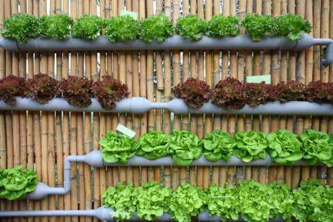 Pvc Gutters Recycled into Garden Planters