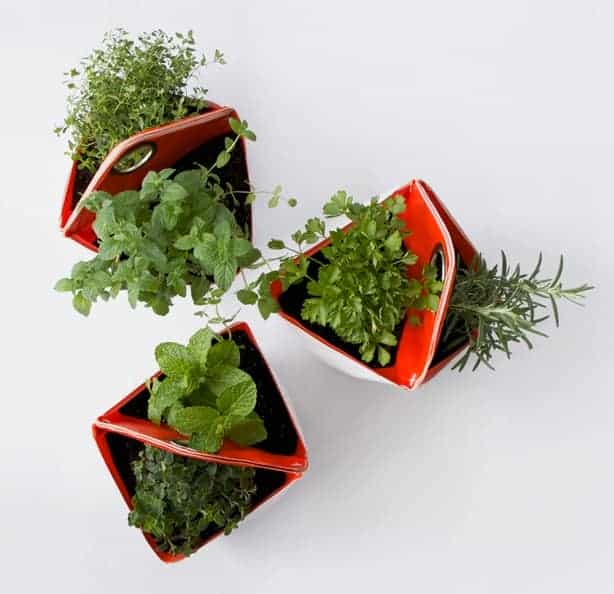 nomad-three-planters-from-top