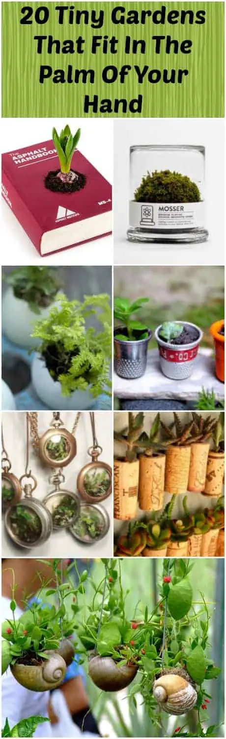 20 Beautiful Tiny Gardens That Fit In The Palm Of Your Hand
