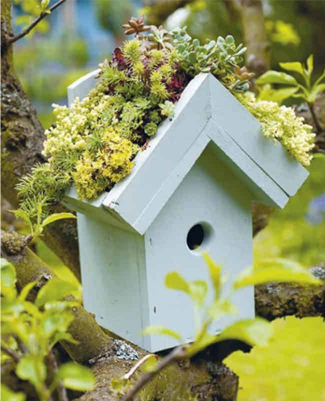 Birdhouse-rooftop-garden