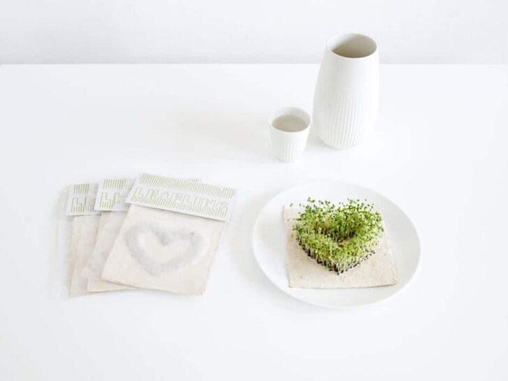 Home-Accessories-Decorations-LEAFLING-–-growing-paper1-940x705