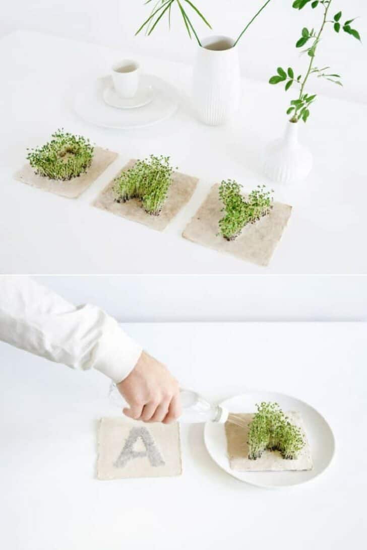 Leafling Growing Paper