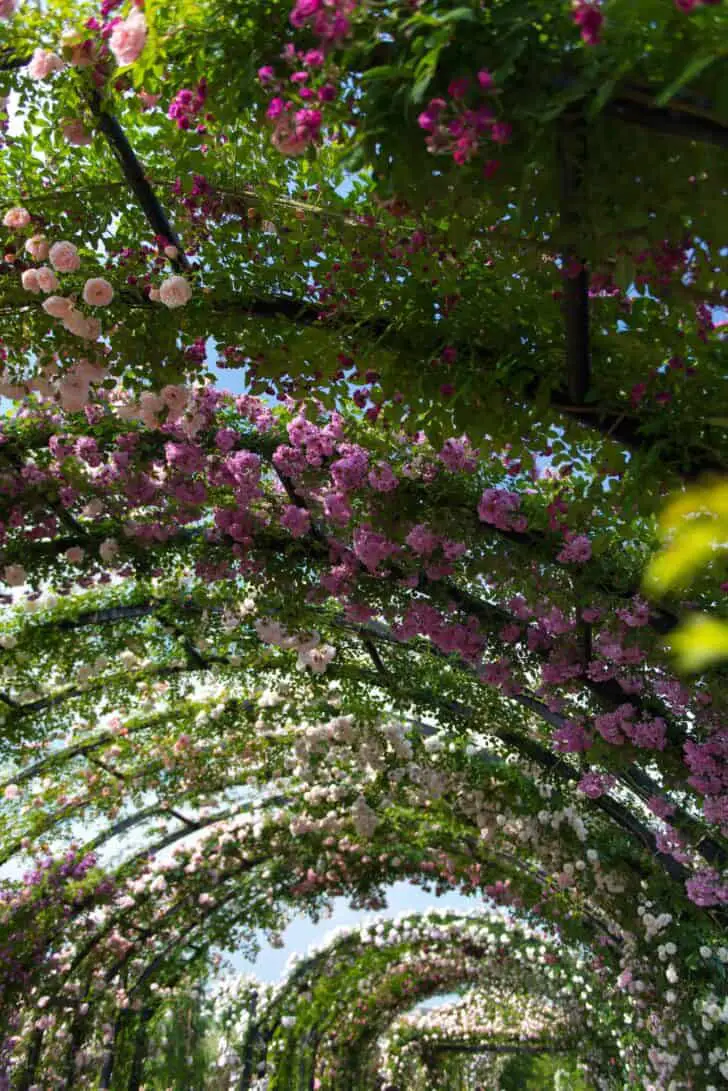 Yokohama English Garden Landscape