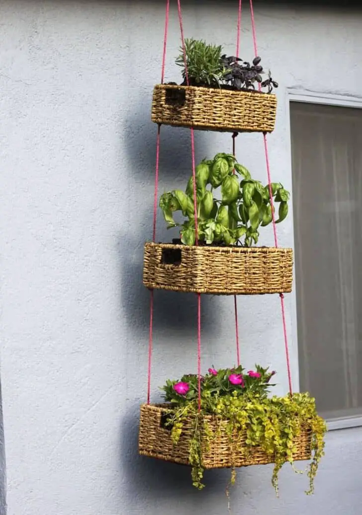 Diy: Upcycled Basket Into Hanging Garden 1 - Flowers & Plants