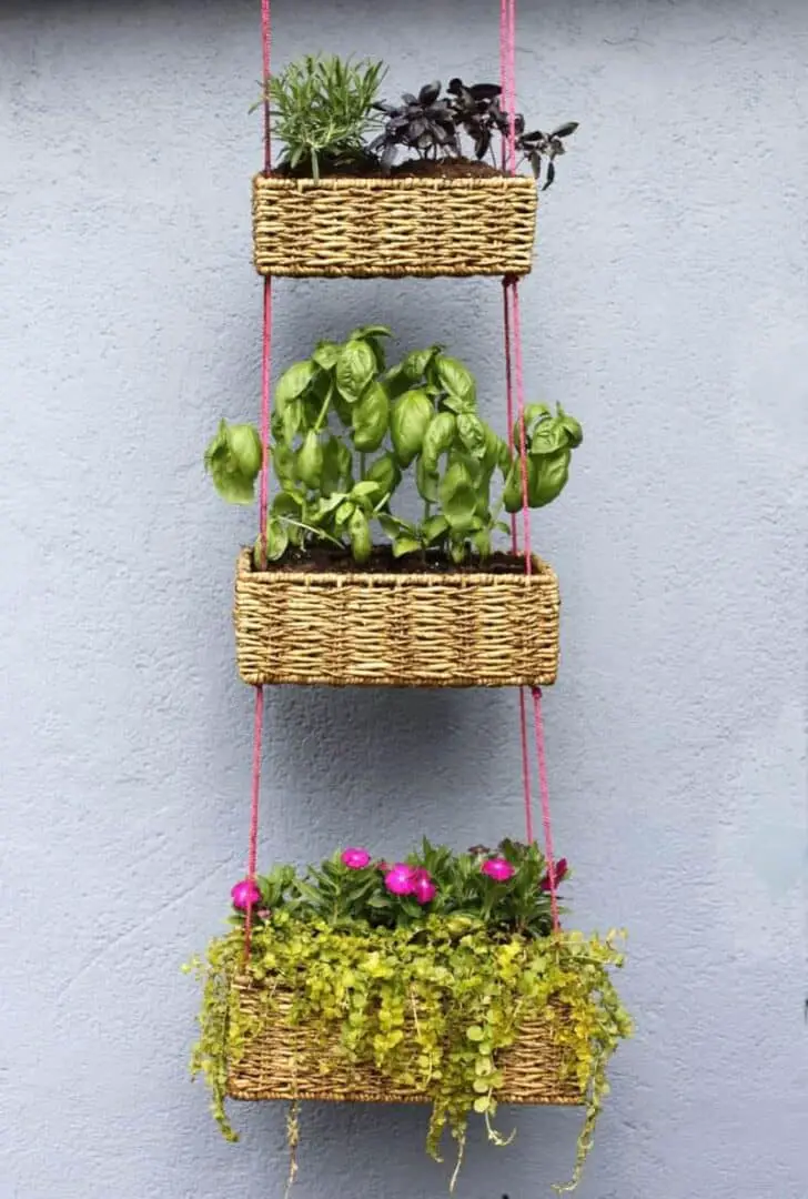 Diy: Upcycled Basket Into Hanging Garden