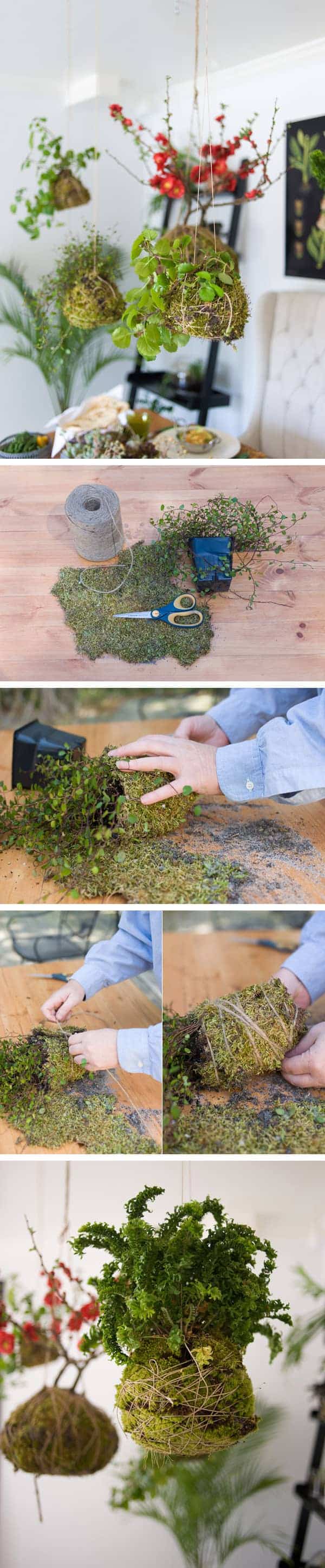 jardin-colgante-kokedama-diy-muy-ingenioso-1