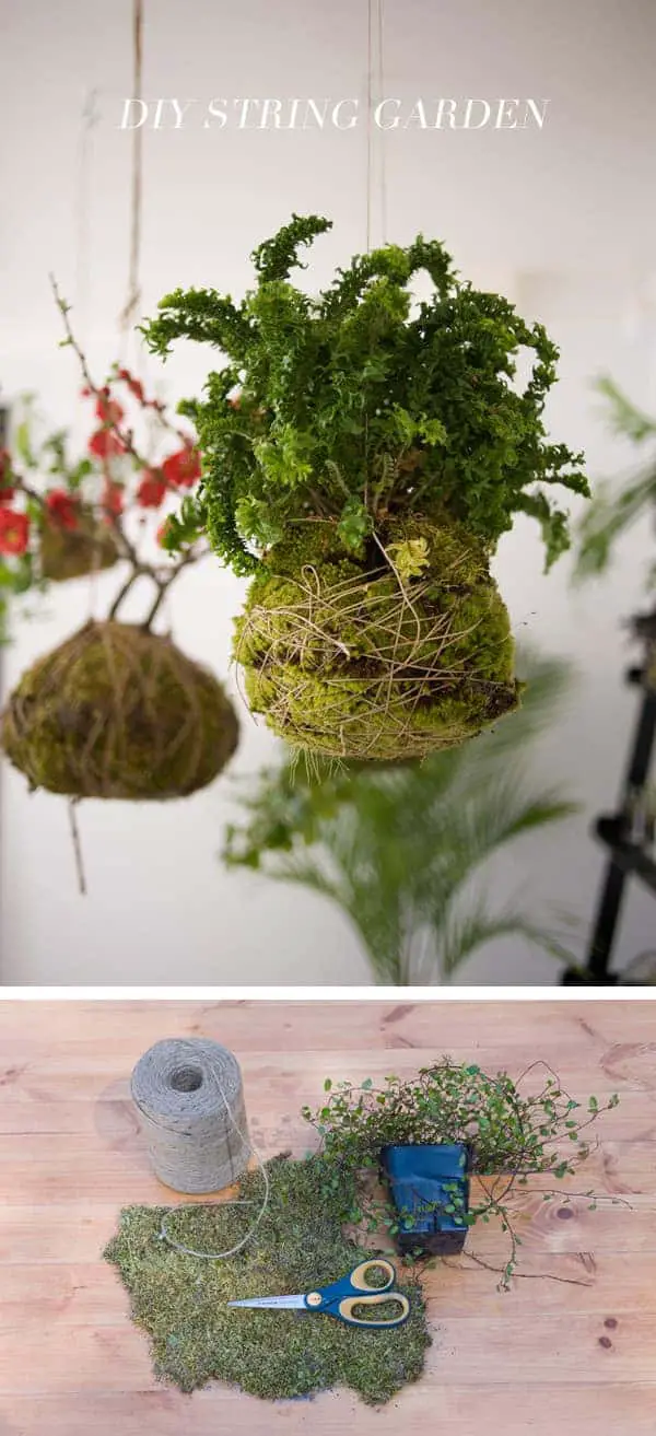 Diy: String Hanging Garden 42 - Flowers & Plants