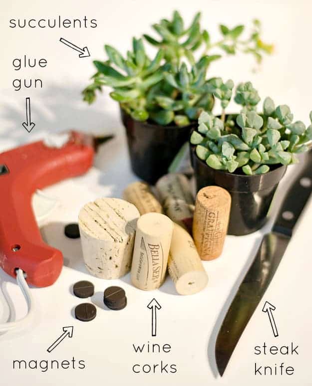 mini-cork-planter-02