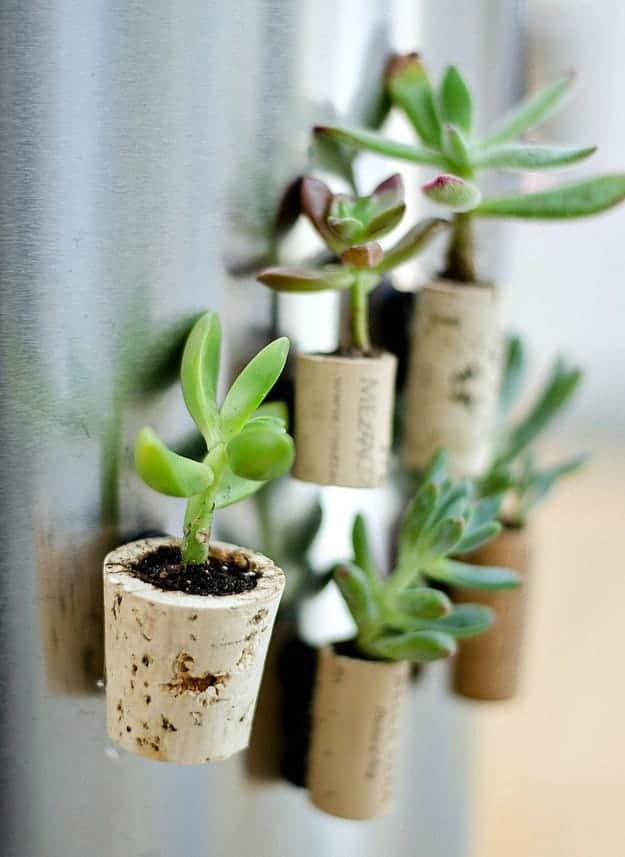 mini-cork-planter-06