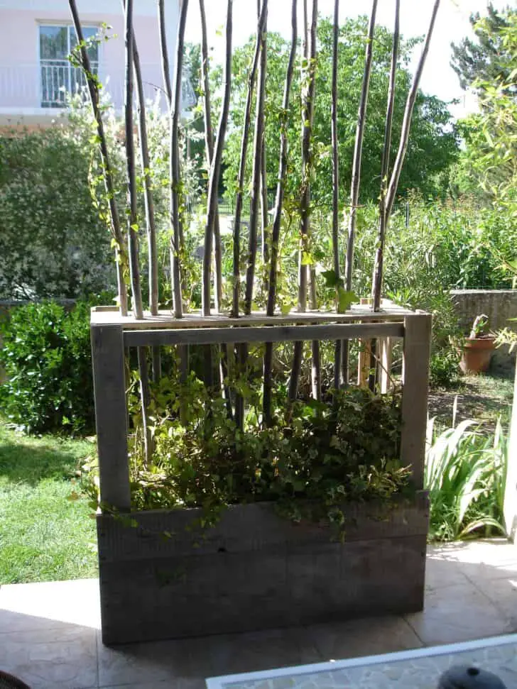 Upcycled Wooden Pallet Vegetal Fence • 1001 Gardens