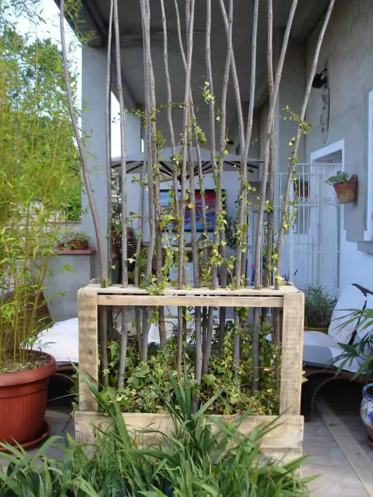 Upcycled Wooden Pallet Vegetal Fence